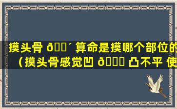 摸头骨 🐴 算命是摸哪个部位的（摸头骨感觉凹 💐 凸不平 使劲按会疼）